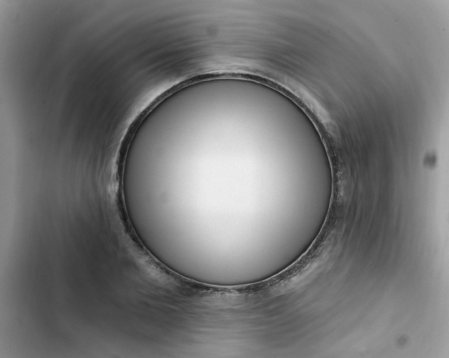 X0000102350885200808151748