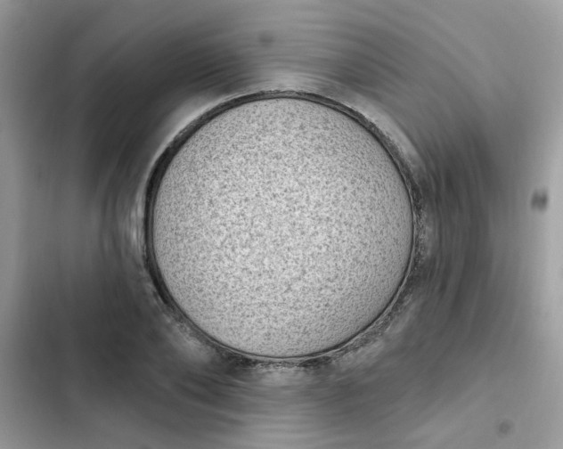 X0000102350886200808151748