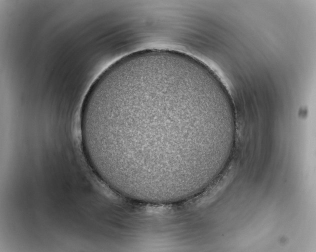 X0000102350887200808151748