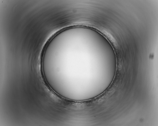 X0000102350888200808151748