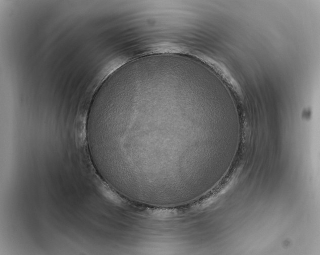 X0000102350889200808151748