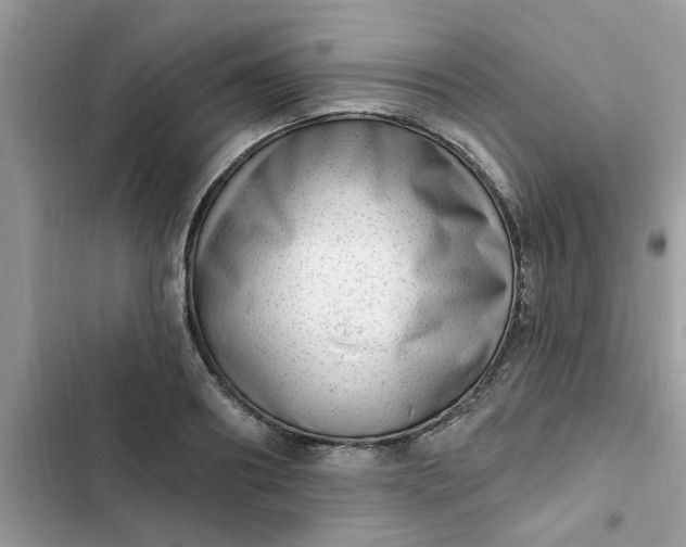 X0000102350890200808151748