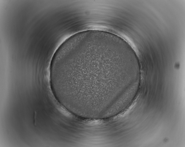 X0000102350891200808151748