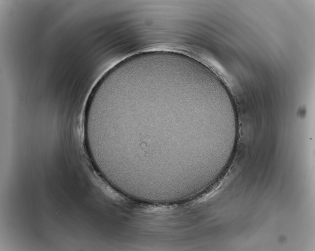 X0000102350892200808151748