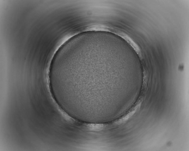 X0000102350893200808151748