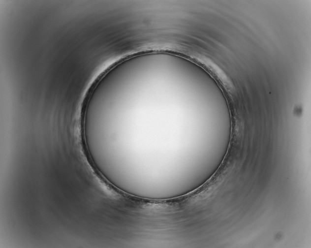 X0000102350894200808151748