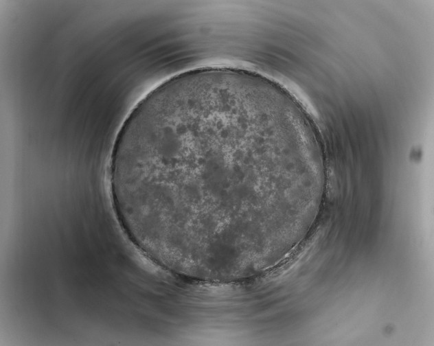 X0000102350895200808151748