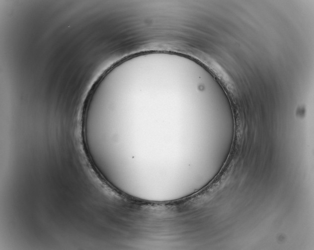 X0000102350896200808151748