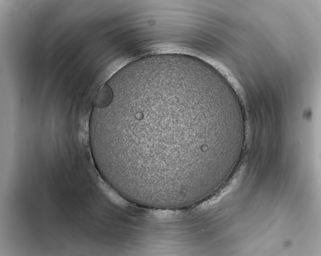 X0000102350897200808151748