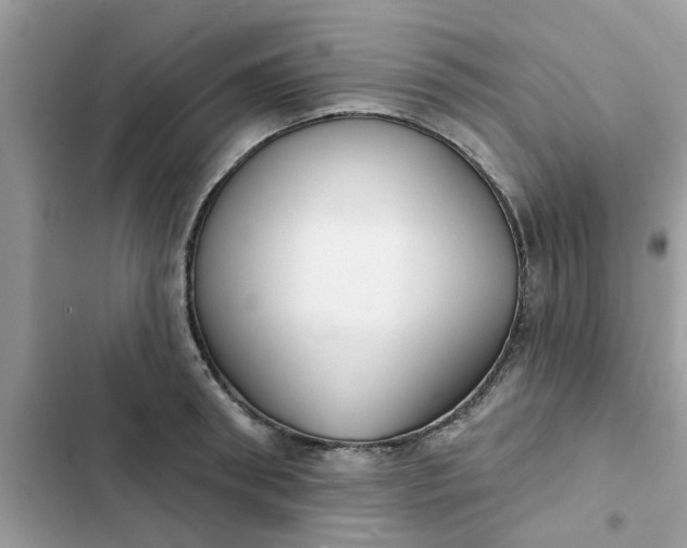 X0000102350898200808151748