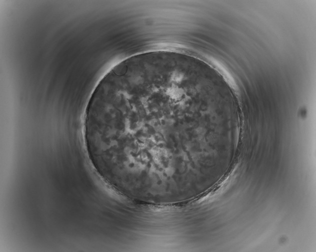 X0000102350899200808151748