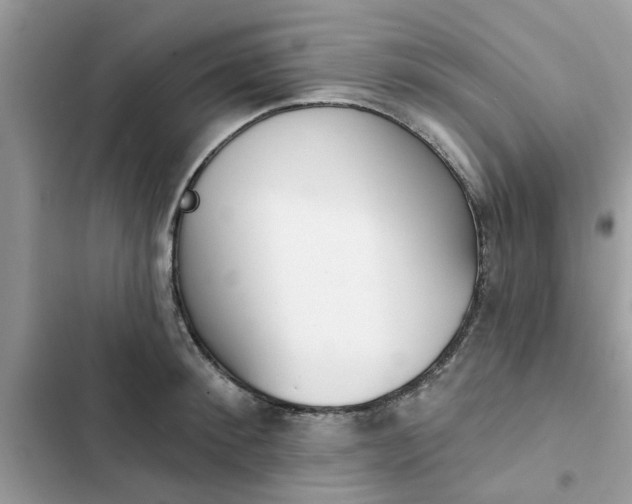 X0000102350900200808151748