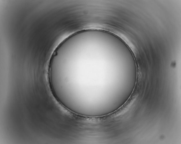 X0000102350901200808151748