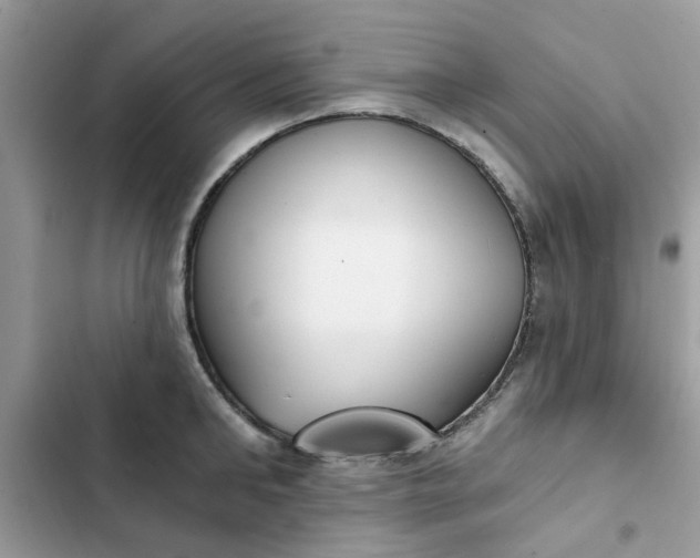 X0000102350902200808151747