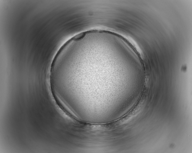 X0000102350903200808151747