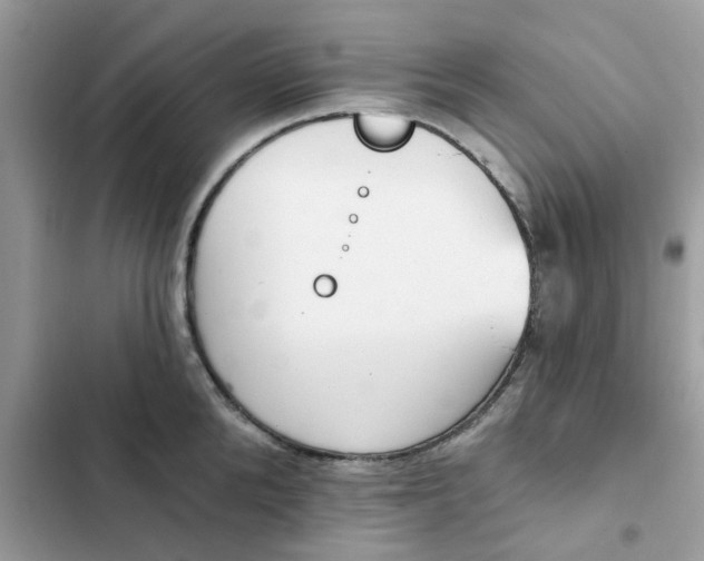 X0000102350904200808151747