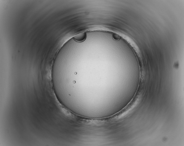 X0000102350905200808151747