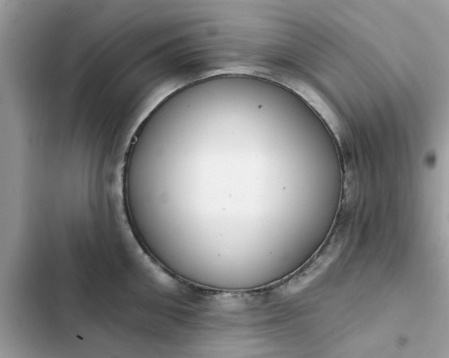 X0000102350906200808151747