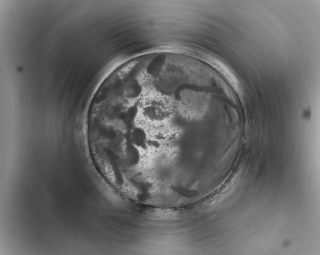 X0000102350907200808151747