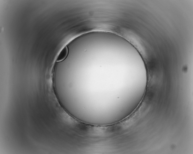 X0000102350908200808151747