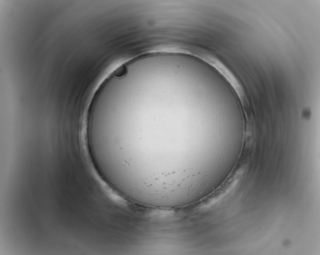 X0000102350909200808151747