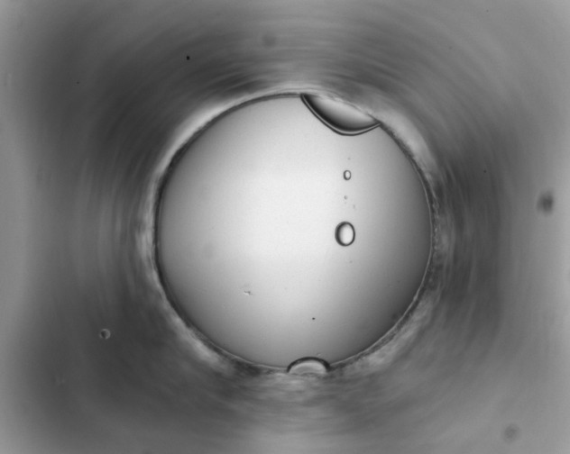 X0000102350910200808151747