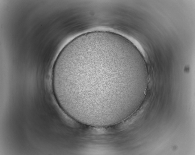 X0000102350911200808151747