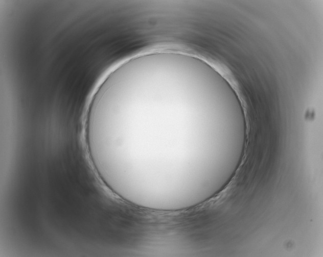 X0000102350912200808151747