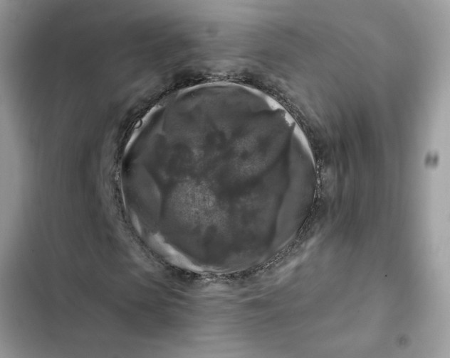 X0000102350913200808151747