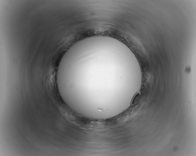 X0000102350914200808151747