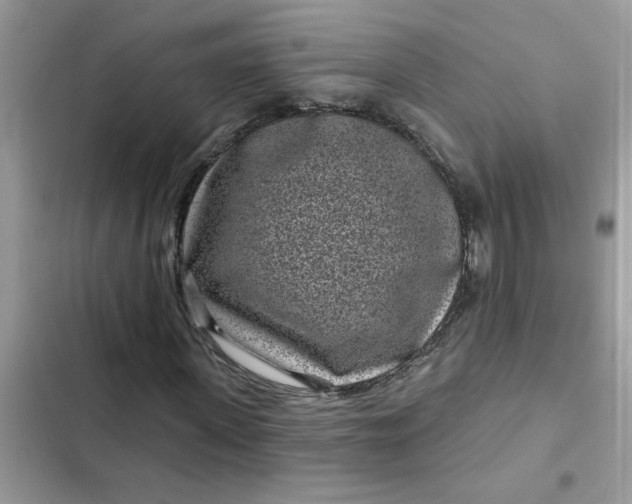 X0000102350915200808151747