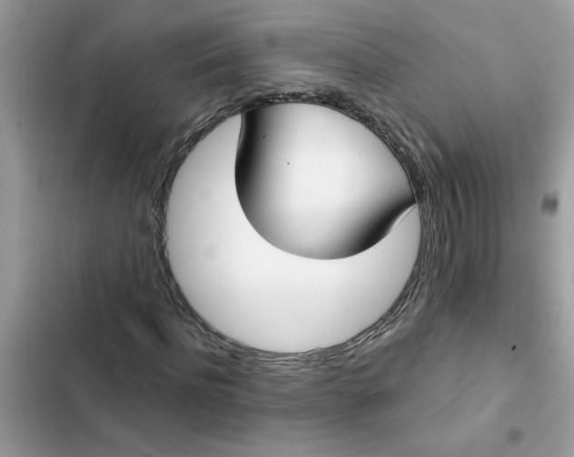 X0000102350916200808151747