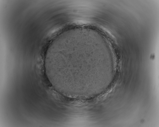 X0000102350917200808151747