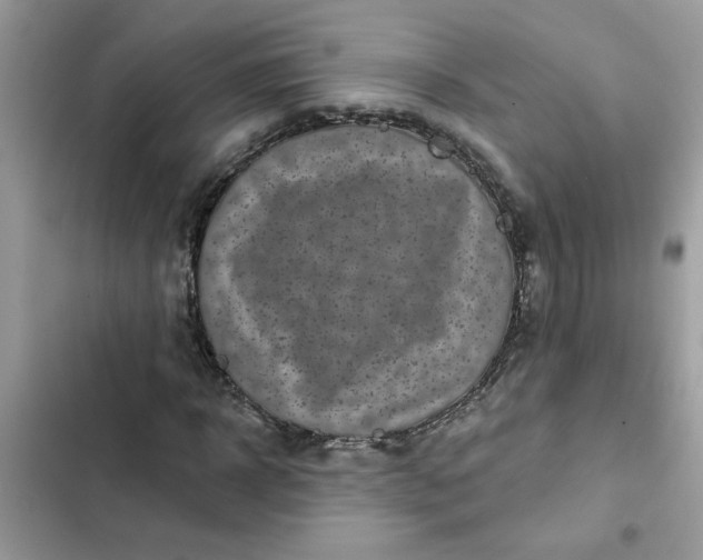 X0000102350918200808151747