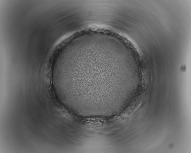 X0000102350919200808151747