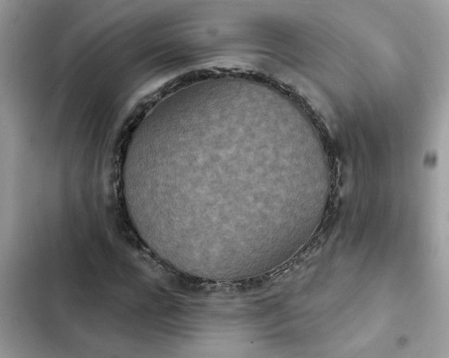 X0000102350920200808151747