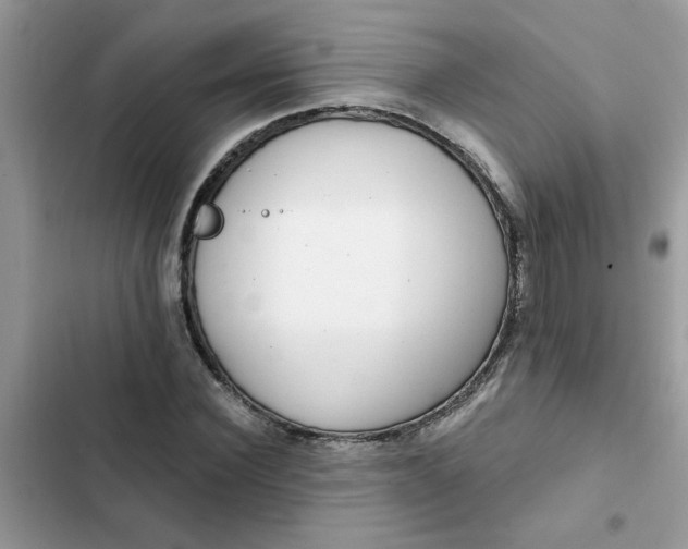 X0000102350924200808151747