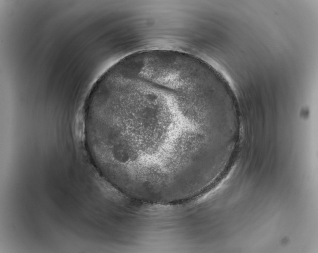 X0000102350925200808151747