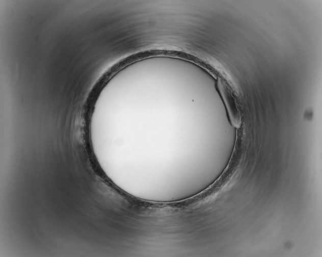 X0000102350926200808151747