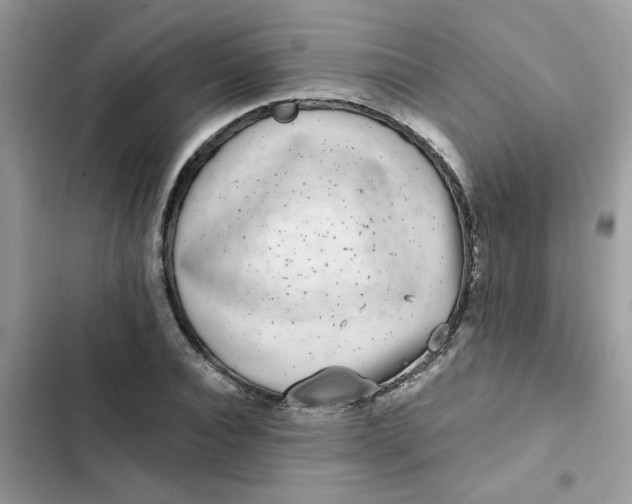 X0000102350928200808151747