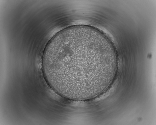 X0000102350929200808151747