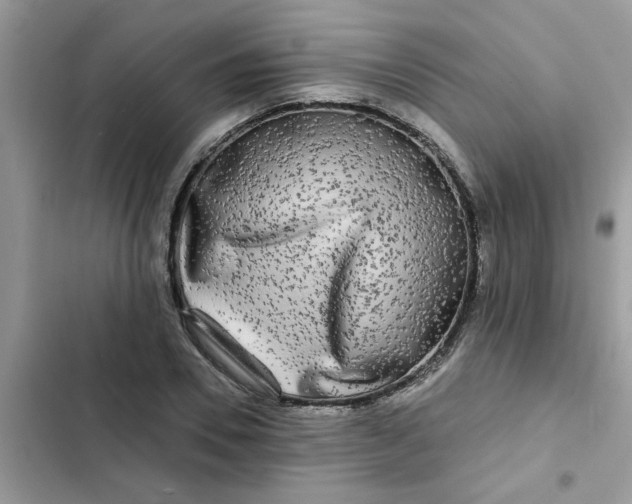 X0000102350930200808151747