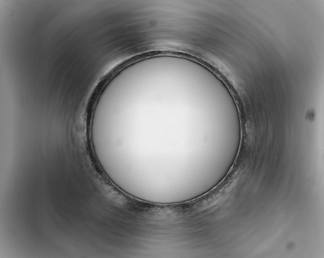 X0000102350931200808151747