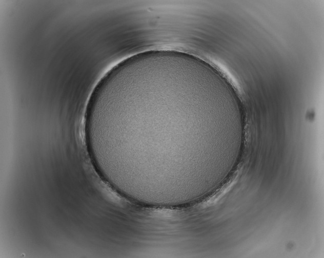 X0000102350932200808151747