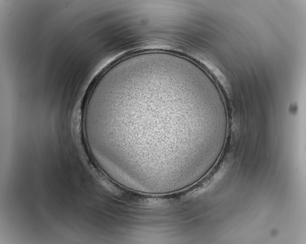 X0000102350933200808151747