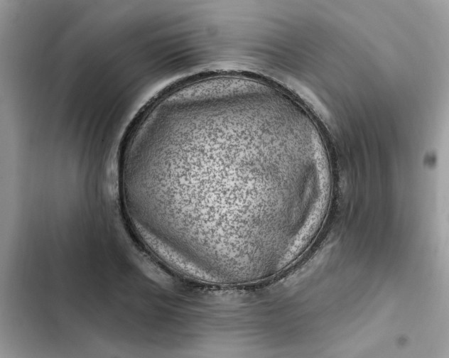 X0000102350934200808151747