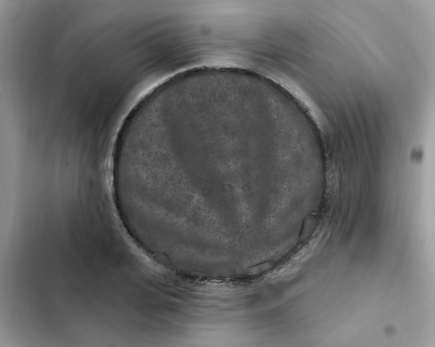 X0000102350935200808151747