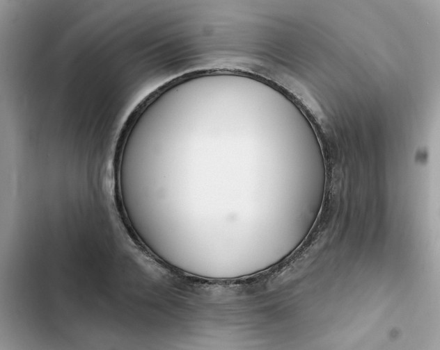 X0000102350936200808151747