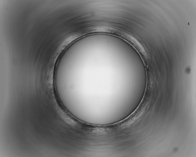 X0000102350938200808151747