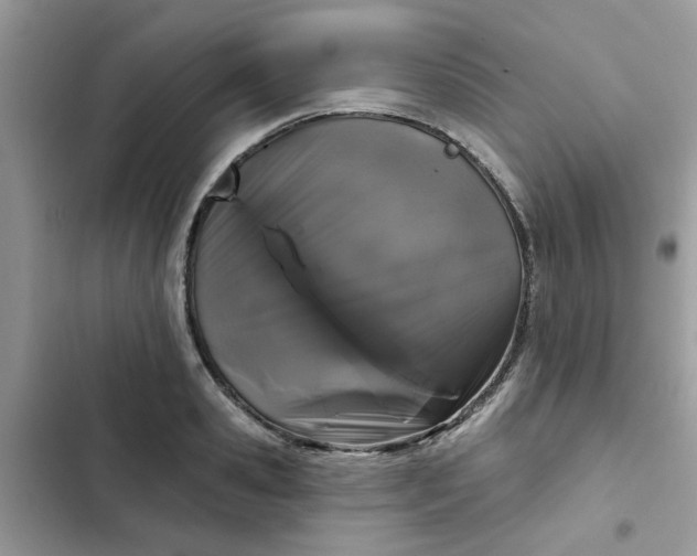 X0000102350941200808151747